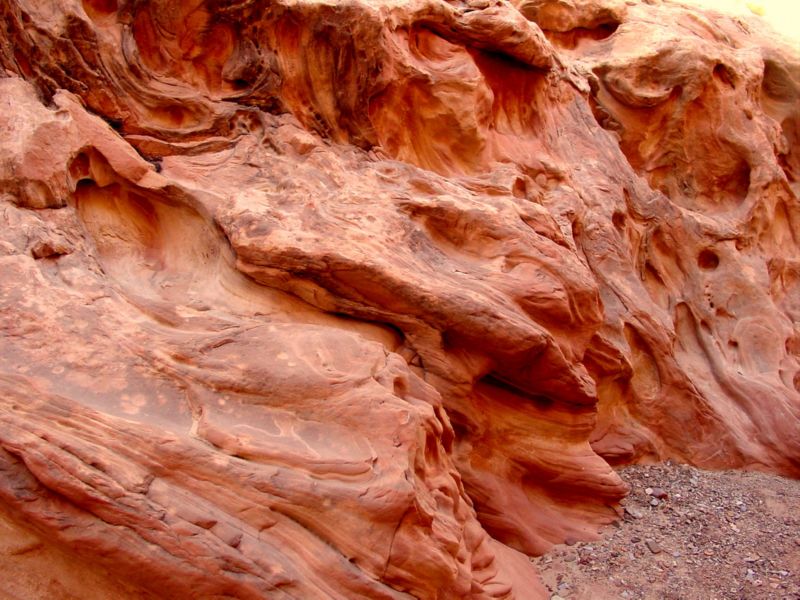 04160302LittleWildHorse (1026)